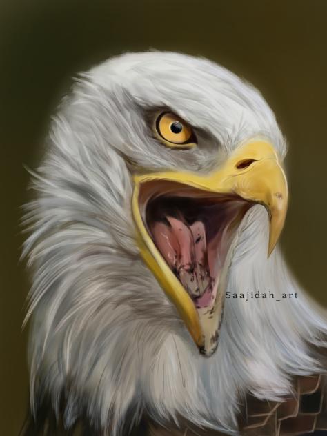 🦅🦅🦅