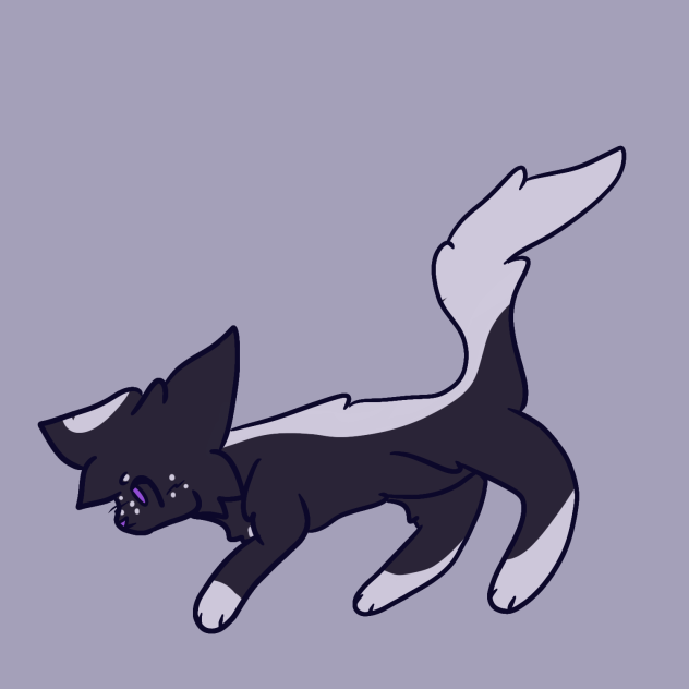 Ravenpaw Run Cycle