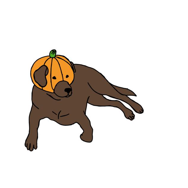 Halloween Finan doge