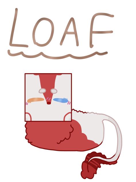 Loafy till