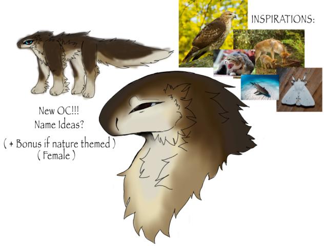 New OC!!!