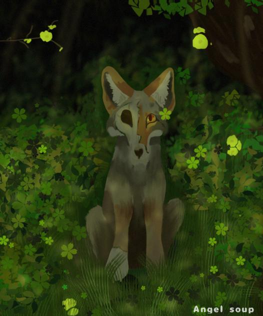 Lil coyote