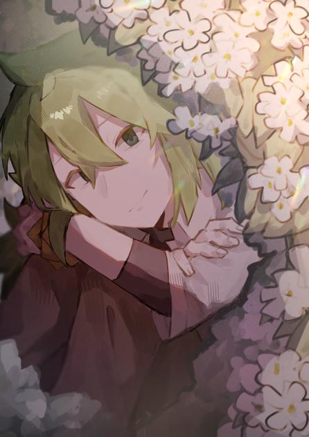 ヘリオトロープ