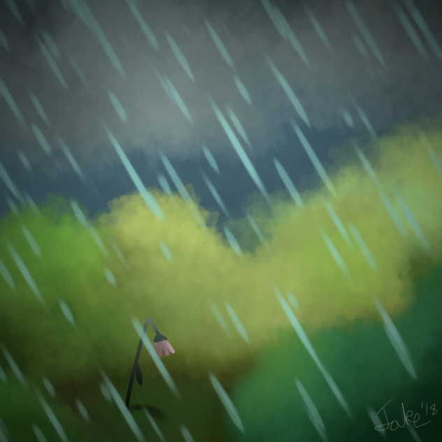 Rain