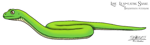 Lime Leaf-eating Snake