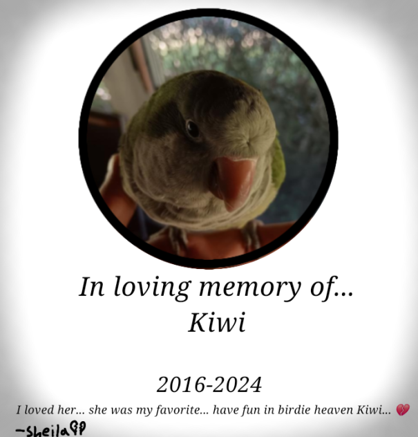 In loving memory of my pet...