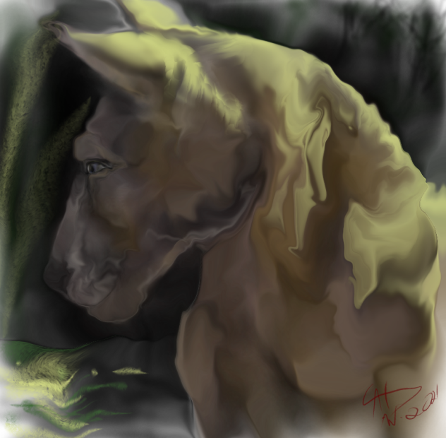 the puppy