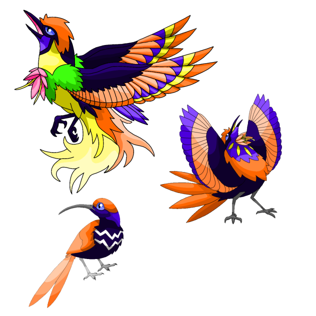 Birds of Paradise Pokemon-Paranix