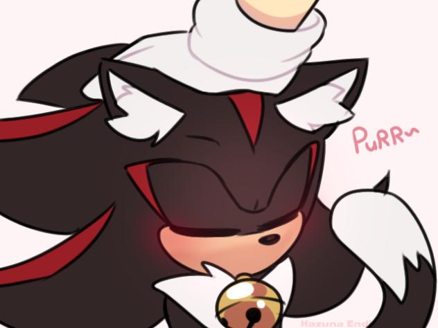 pet