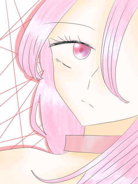 撮影