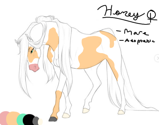 Honey - Adoptable