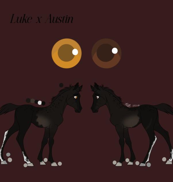 Luke x Austin foal meme