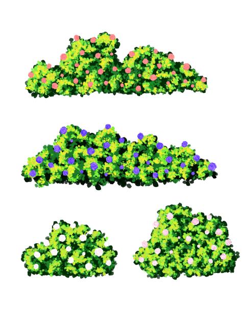 Green Bushes 2