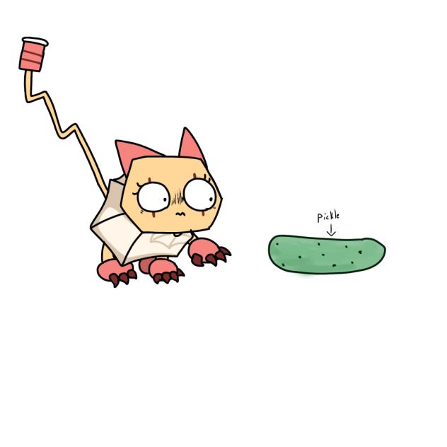 Scraps being a cat