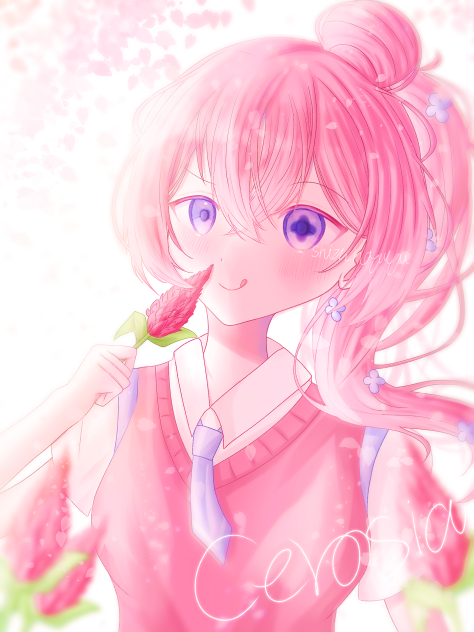 ケイトウ