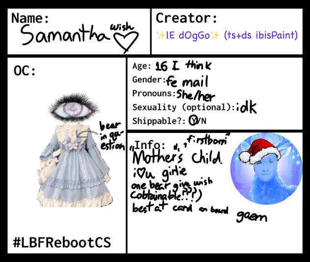 other cs