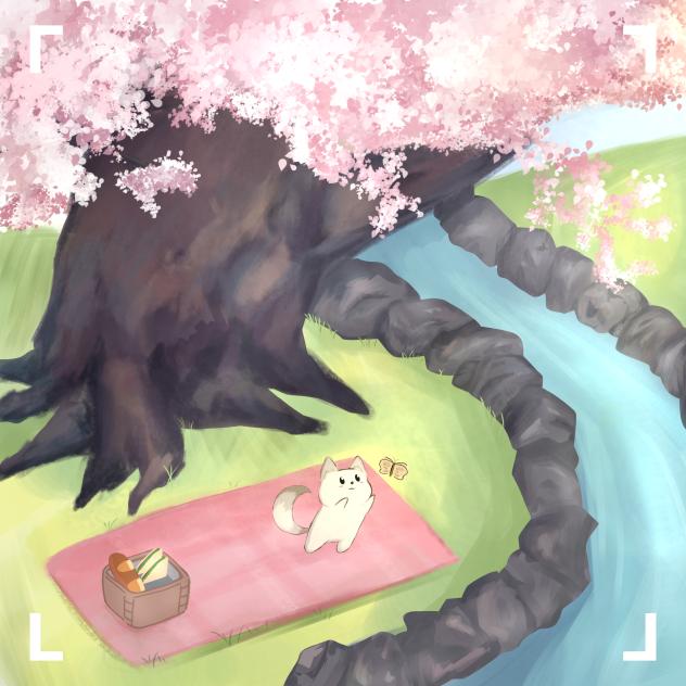 猫！