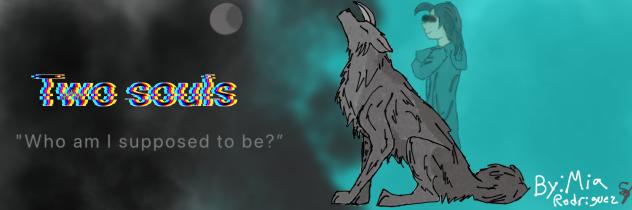 Two souls banner