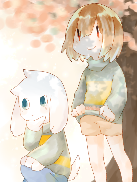 chasriel 12日