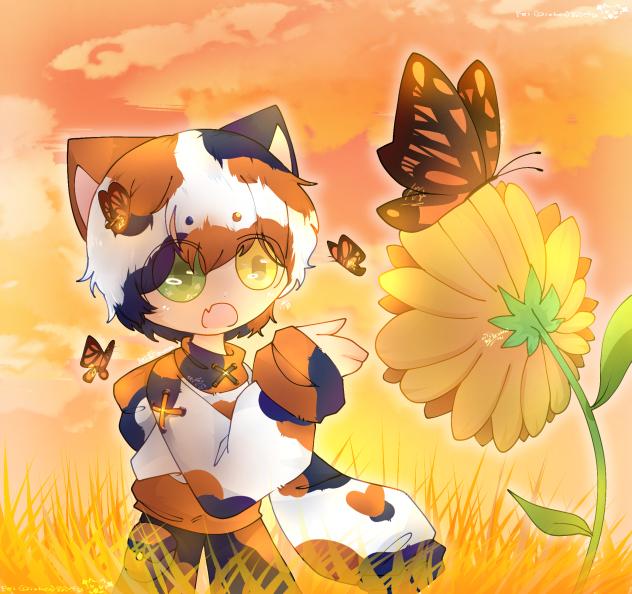 🌻𝔀𝓪𝓽𝓬𝓱𝓲𝓷𝓰 𝓫𝓾𝓽𝓽𝓮𝓻𝓯𝓵𝓲𝓮𝓼...🦋