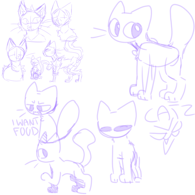 CATZZZ