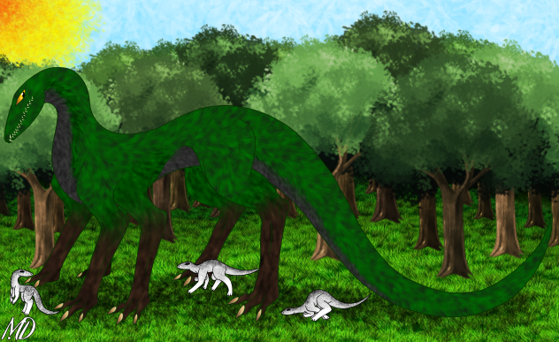 The chameleon. With hatchlings