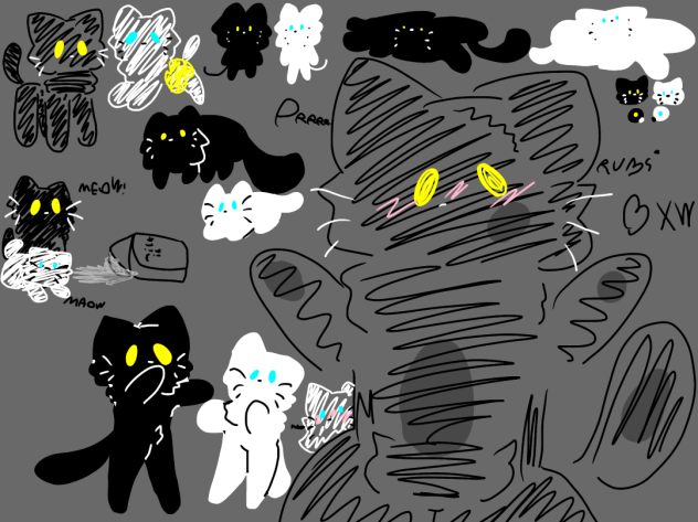 A two cat special
