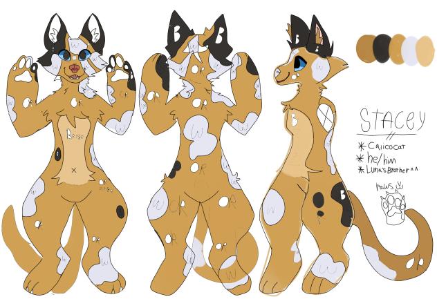 Stacy’s Info + Sketch!