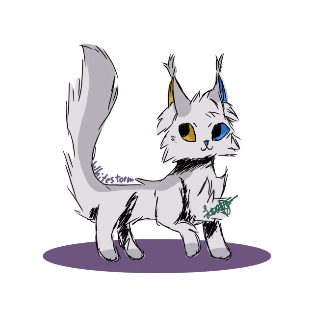 Whitestorm Design