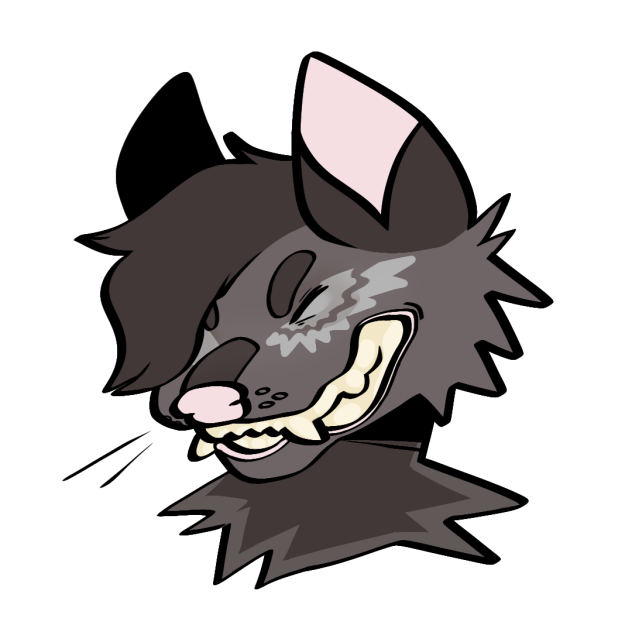 opossum headshot