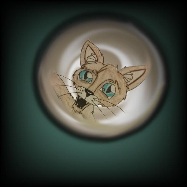 cat profile