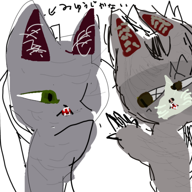 大　喧　嘩（〜ももの野良猫時代〜）