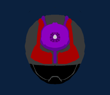 ハッキングライダー