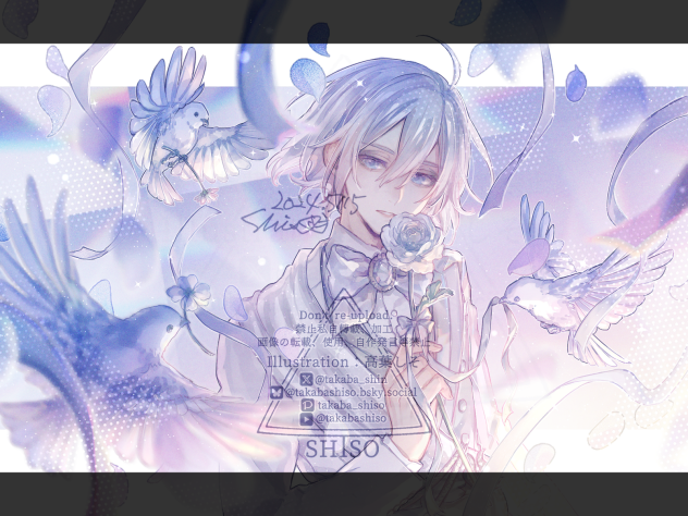platina silver2024 ˖ ࣪⊹