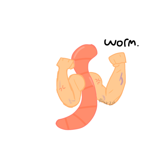 WORM.
