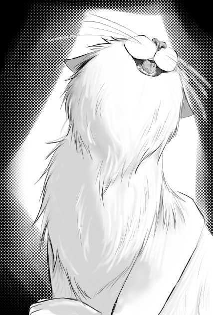 ねこ