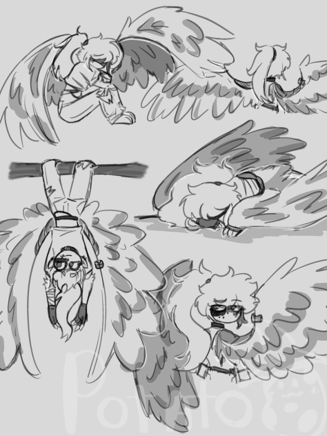 Not an official persona doodles