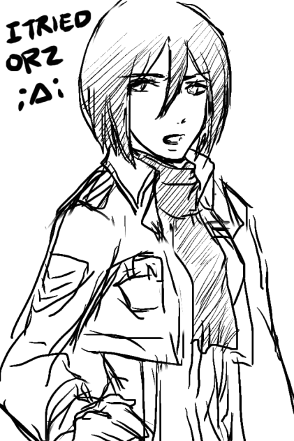test Mikasa