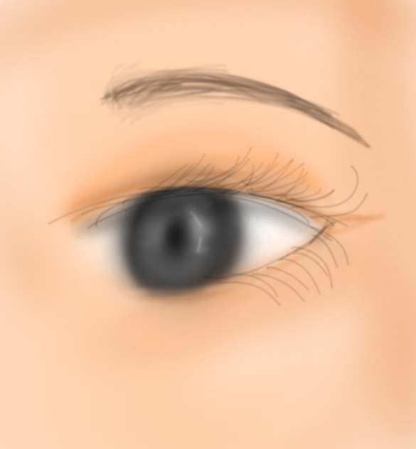Newbie eyes - ibisPaint