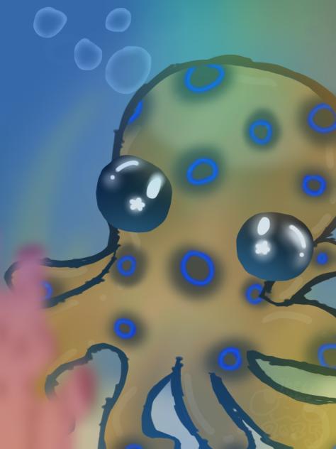 BLUE RINGED OCTOOOOOOOO