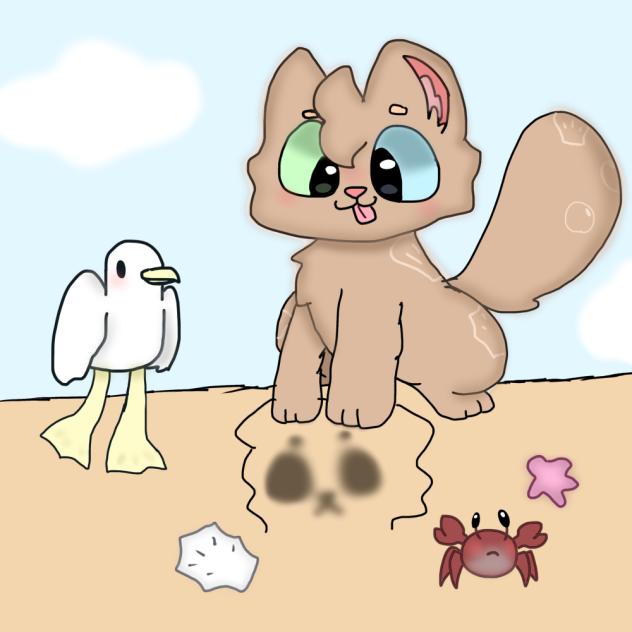 Beach cat