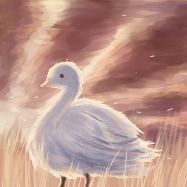 peace was never an option🦢