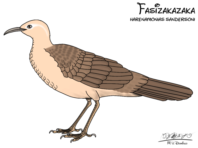 Fasizakazaka