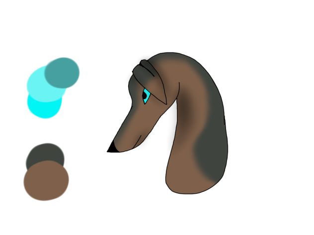 Turtle - From Race - ibisPaint