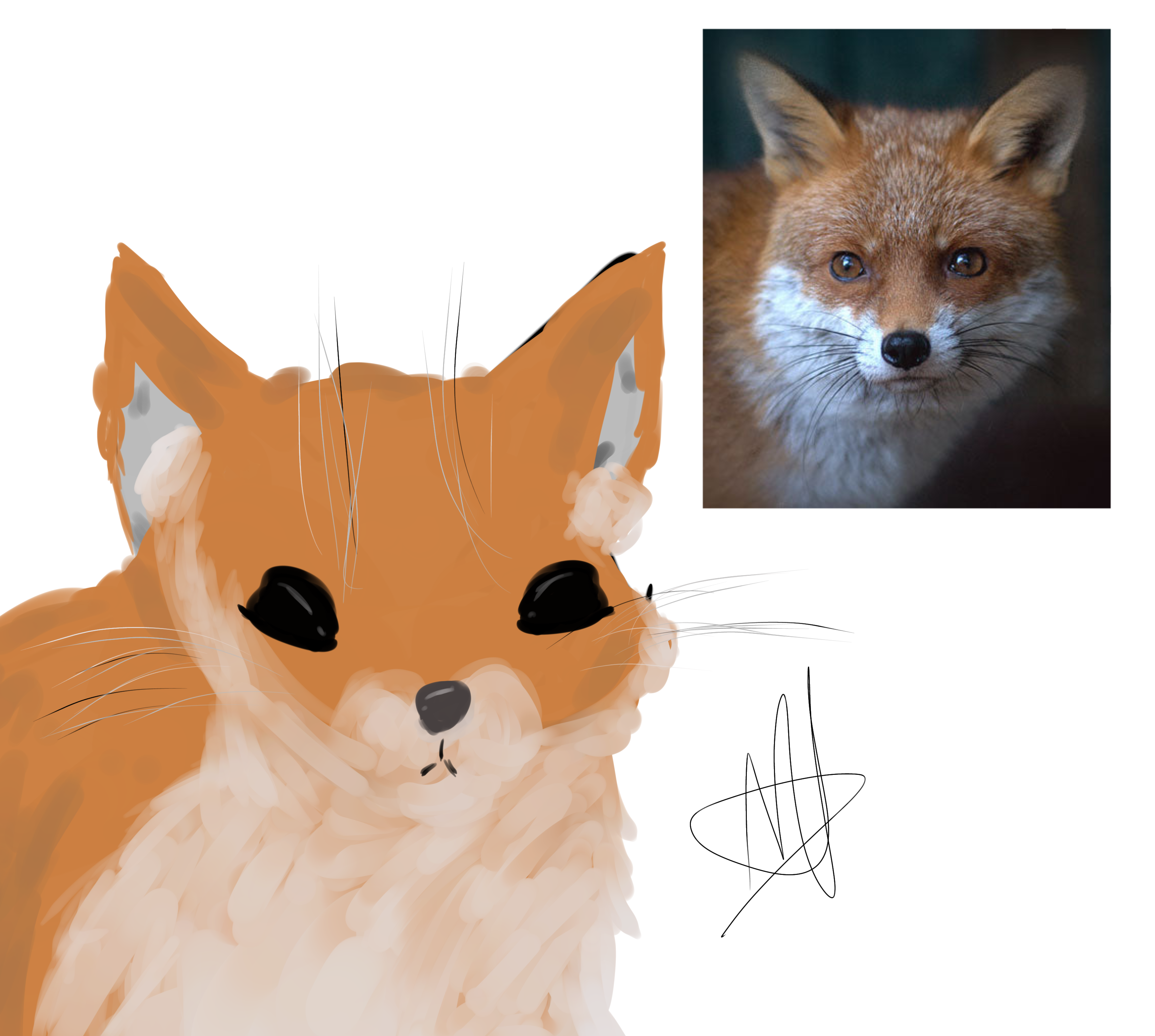 fox 🦊 - ibisPaint