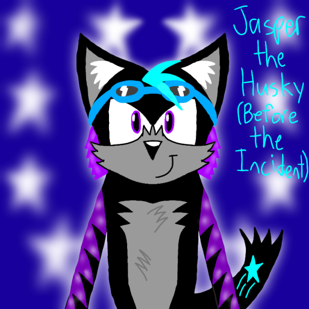 Jasper the Husky