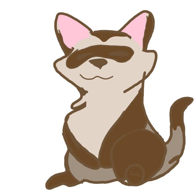 🐾Ferret🐾