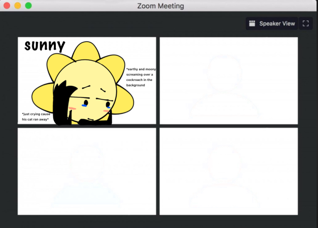 COLLAB BC WHY NOT