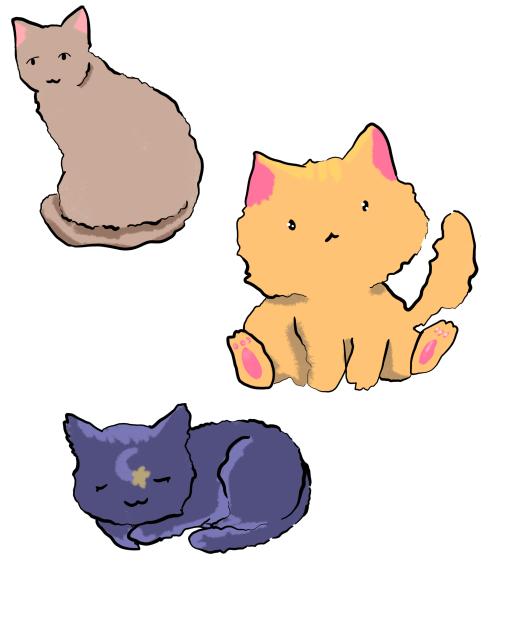 고양이(거의 색칠만 내가 함)