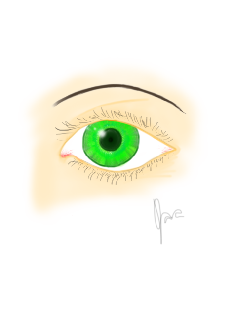 The eye